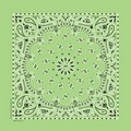 Domestic Lime Green Paisley Bandanna